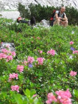 Pohoda pod Totenkirchlem