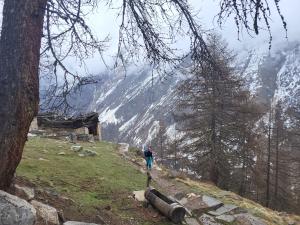 Výstup na Vittorio Sella