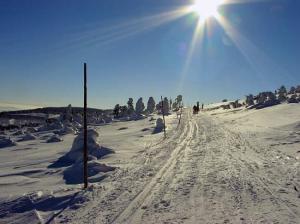 Cestou na Velkou Deštnou
