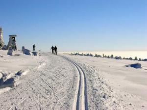 Jedem na Pěticestí