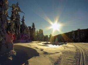 A zase zpátky na Šerlich