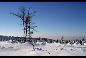 Romantika v podání Evuši