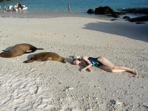 Zu a lachtani (nebo tuleni?)