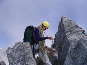 Pizzo Porcellizo, Fík na vrcholu