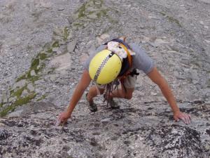 Kraví roh, jemná Fíkova práce