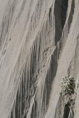 Všudypřítomné vodní žlábky