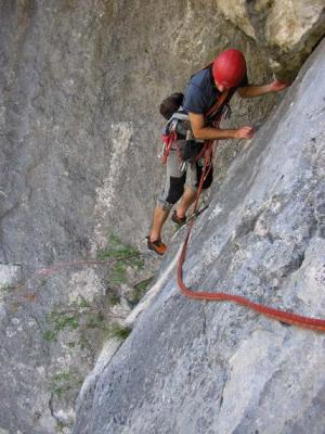 Bidlo v traverzu pod střechou2