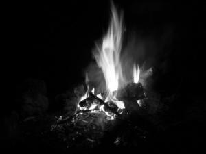 Boj s vlhkem jsme vyhráli