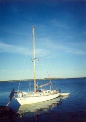 Daniela Mrázová: Vlčice a Pionýr