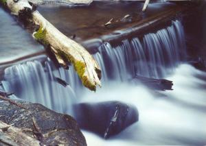 Aleš Procházka: Lake Levinsky Creek