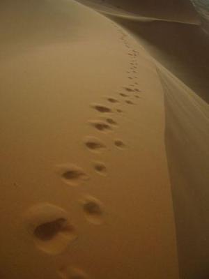 Ondřej Roztomilý: Erg Chebi (Maroko)