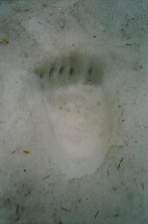 Lejno už jsem nestihla...