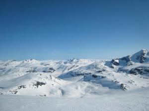 Kopce, kam se podíváš