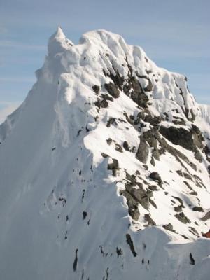 Plná pěna plzeňského