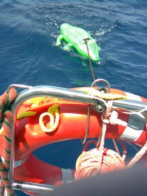 Krokouš neohroženě brázdí vlny