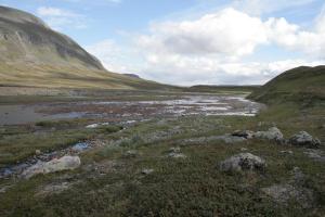 Narodni park Ovre Dividal