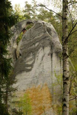 Míra v uchu Džbánu