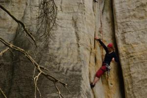 Vyklepat a šupky zpátky do spárky