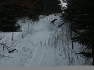 Brto to nějak neustál