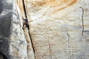 Petr Daniš: Chuť písku - Očistec