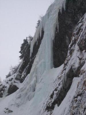 Fenstergucker WI5 výživný sopouch