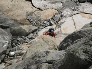 Klíčová rajbákovitá hrana v druhe delce