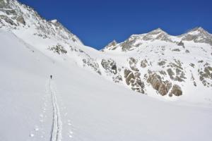 Ambiciozni stopa zleva