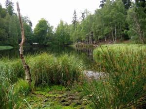 Jezírko láká všechny kolemjdoucí