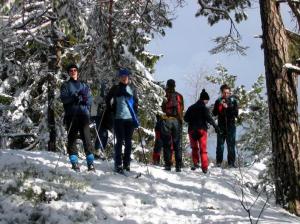 Po cestě na vyhlídku...