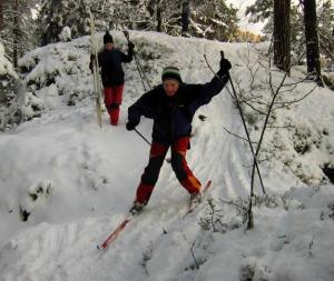 Různé lyžařské styly - Tok