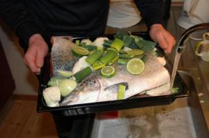 Kvaloya (chceš-li správný zásek míti)