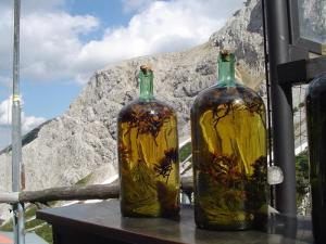 Zátiší s alkoholem