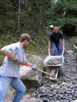 Od Arboreta pod Archu